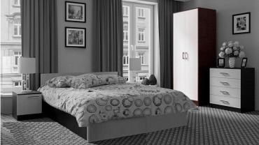 Шкаф 2-х створчатый накладной "Эдем 5"