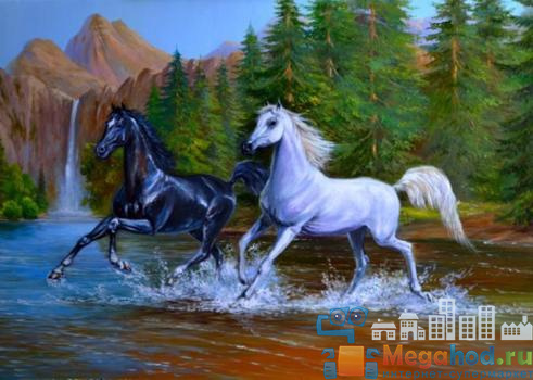 Репродукция "Черная и белая лошади" от магазина мебели MegaHod.ru